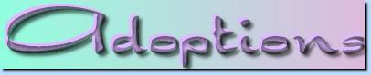 Adoptions Banner