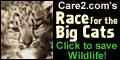 Save Big Cats