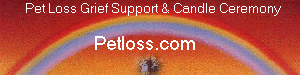 PetLoss.com Website