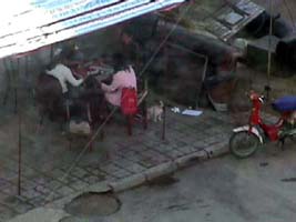 Mahjong players beneath our apartment window