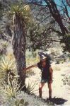 hot valley, Pacific Crest Trail