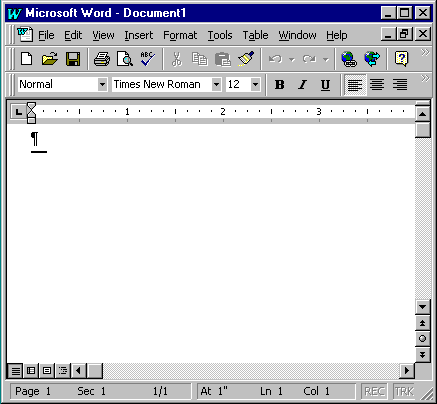 The Microsoft Word Screen