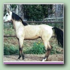 [Click to enlarge image]