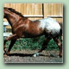 [Click to enlarge image]