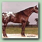 [Click to enlarge image]