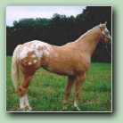 [Click to enlarge image]