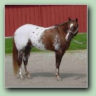 [Click to enlarge image]