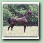 [Click to enlarge image]