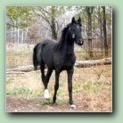 [Click to enlarge image]