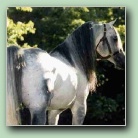 [Click to enlarge image]