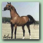 [Click to enlarge image]