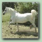 [Click to enlarge image]