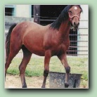 [Click to enlarge image]