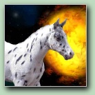 [Click to enlarge image]