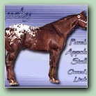 [Click to enlarge image]