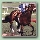 [Click to enlarge image]