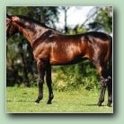 [Click to enlarge image]