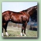 [Click to enlarge image]