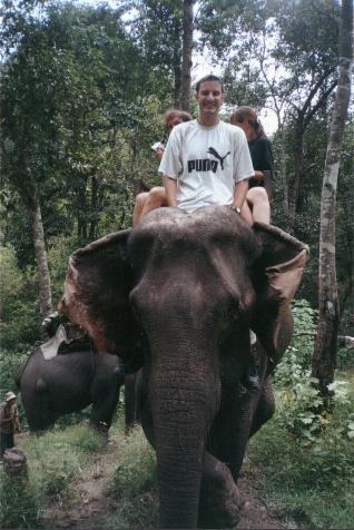 the jungle is my domain