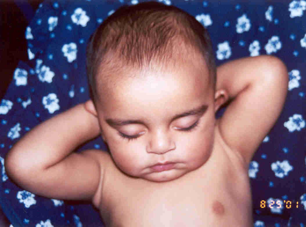 Gundu sleeping in the swing