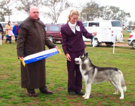 Shadow taking Best In Group