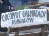 Coconut sign