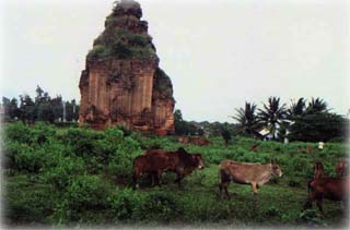 central1.jpg (3383 bytes)