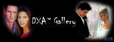 DXA~....the Gallery.