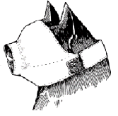 No one really knew what Ugly looked like under his mask.