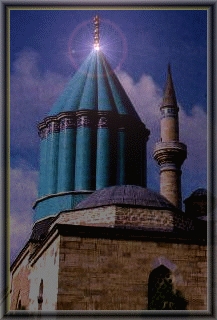 turdis.jpg (61097 bytes)