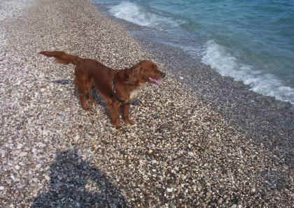 19.JPG (48165 bytes)