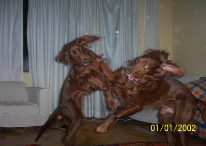 1zagvelinda.JPG (17634 bytes)