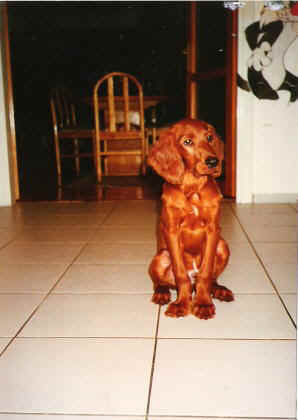 358.JPG (19342 bytes)