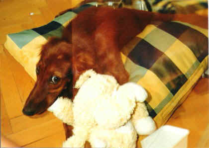 403.JPG (23514 bytes)