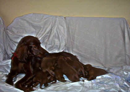 lindabebi�.JPG (25626 bytes)