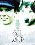 Call of the Wild Poster from TEAM Entertainment