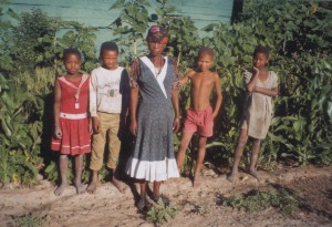 agri.jpg (28219 bytes)