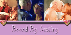 Bound by Destiny by Shoshanna