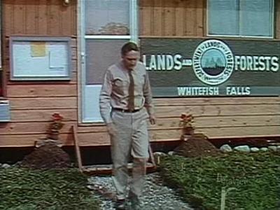 Lands and Forests Office (1969)