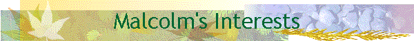 Malcolm's Interests