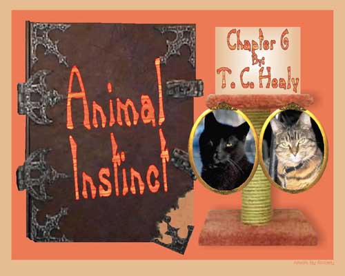Animal Instincts: by, T.C. Healy:  Artwork by, Kimberly