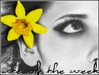 award1.png (37938 bytes)