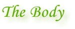 pic_Body.jpg (2985 bytes)