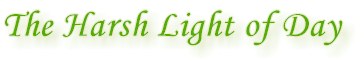 pic_harshlight.jpg (6823 bytes)