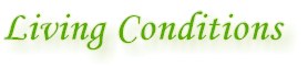 pic_livingcond.jpg (5186 bytes)