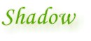 pic_shadow.jpg (2601 bytes)