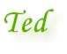 pic_ted.jpg (1768 bytes)