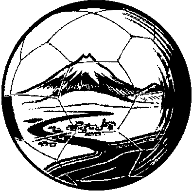 Waitara Soccer Club Logo