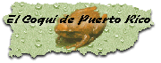 El Coqu� de Puerto Rico
