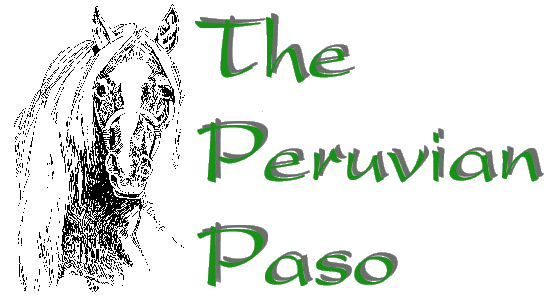 The Peruvian Paso